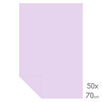 Lüks Fon Kartonu Tam Boy 50X70 160Gr Lila