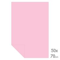 Lüks Fon Kartonu Tam Boy 50X70 160Gr Pembe