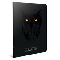 Gıpta Glow Notes A4 Büyük Defter 60 Yaprak Kareli Owl
