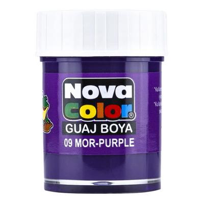 Nova Color Nc-111 Guaj Boya Şişede Mor