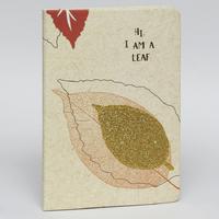 Cem Dolphın Nb-7072 Simli Defter A5 60 Yp Çizgili Model 01