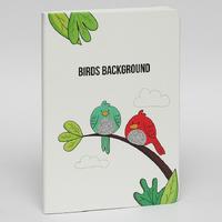 Cem Dolphın Nb-7072 Simli Defter A5 60 Yp Çizgili Model 02