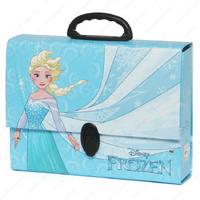 Frozen Kulplu Kutu Klasör Model 02