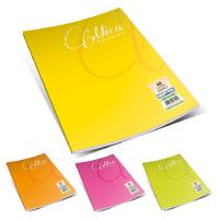 Gıpta Mica Pp Kapak Defter A4 80 Yaprak Çizgili