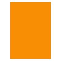 Craft And Arts Fon Kartonu Tam Boy 50X70 Neon Turuncu