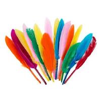 Renkli Tüy 16Cm 10'Lu Paket