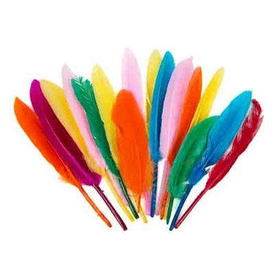 Renkli Tüy 20Cm 10'Lu