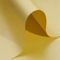 Alex Schoeller Pearl Board Sedefli İnci Fon Kartonu 50X70 Altın