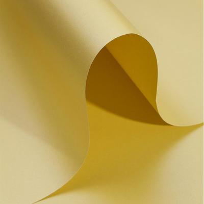 Alex Schoeller Pearl Board Sedefli İnci Fon Kartonu 50X70 Altın