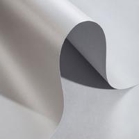 Alex Schoeller Pearl Board Sedefli İnci Fon Kartonu 50X70 Gümüş