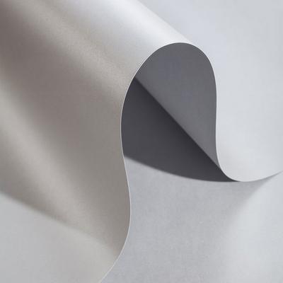 Alex Schoeller Pearl Board Sedefli İnci Fon Kartonu 50X70 Gümüş