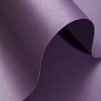 Alex Schoeller Pearl Board Sedefli İnci Fon Kartonu 50X70 Mor