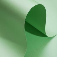 Alex Schoeller Pearl Board Sedefli İnci Fon Kartonu 50X70 Yeşil