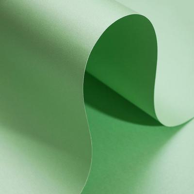 Alex Schoeller Pearl Board Sedefli İnci Fon Kartonu 50X70 Yeşil