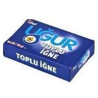 Uğur Toplu İğne 20Gr