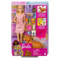Barbie Hck75 Barbie Ve Yeni Doğan Köpekler Oyun Seti
