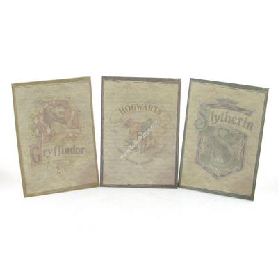 Harry Potter Not Kağıtları 12X17cm