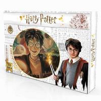 Harry Potter 7565 Puzzle 250 Parça