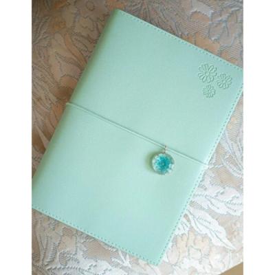 Victoria's Journals 126-2741 Esnek Defter Lastikli A5 Noktalı Yeşil