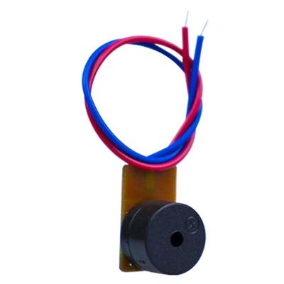 Deney Zili Buzzer