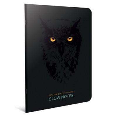 Gıpta Glow Notes A4 Büyük Defter 60 Yaprak Kareli Owl