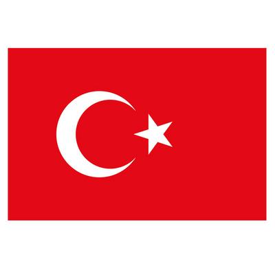 Yapışkanlı Kağıt Bayrak 12X17cm