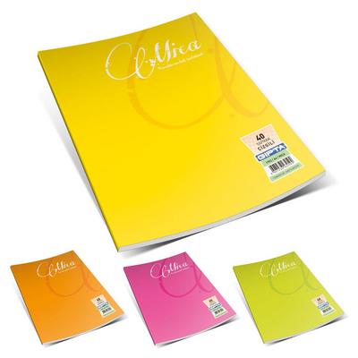 Gıpta Mica Pp Kapak Defter A4 80 Yaprak Çizgili
