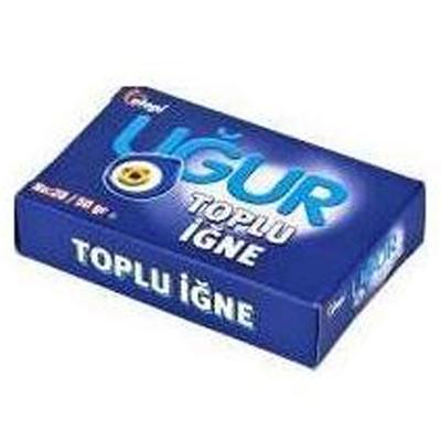 Uğur Toplu İğne 20Gr